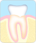 健常な歯周